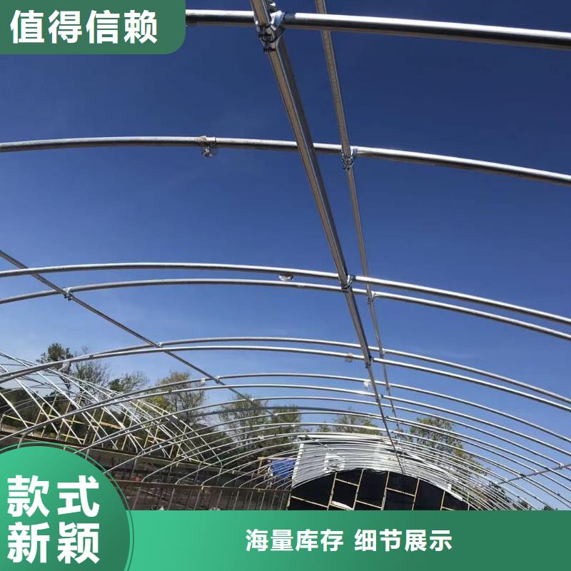 陵县区蔬菜大棚骨架供应商2025--境内派发