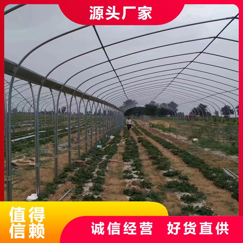 县大棚铝合金防风卡槽设计