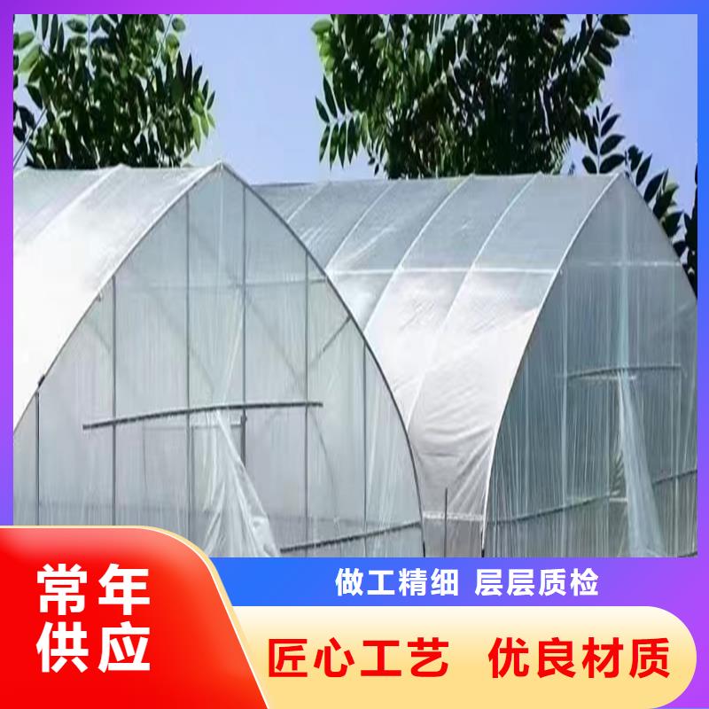 县蔬菜大棚厂供应商