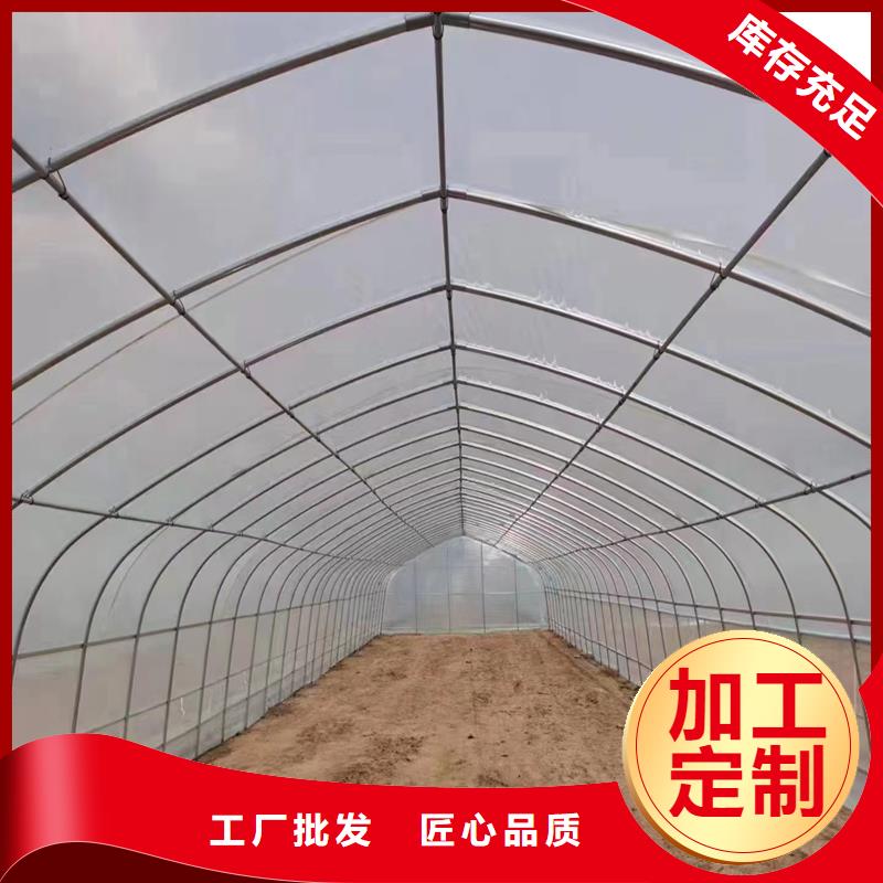 NULLPEP进口利得膜批发价格
