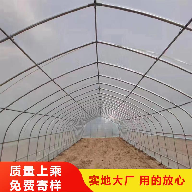 蓝莓温室大棚量大从优金荣圣大棚