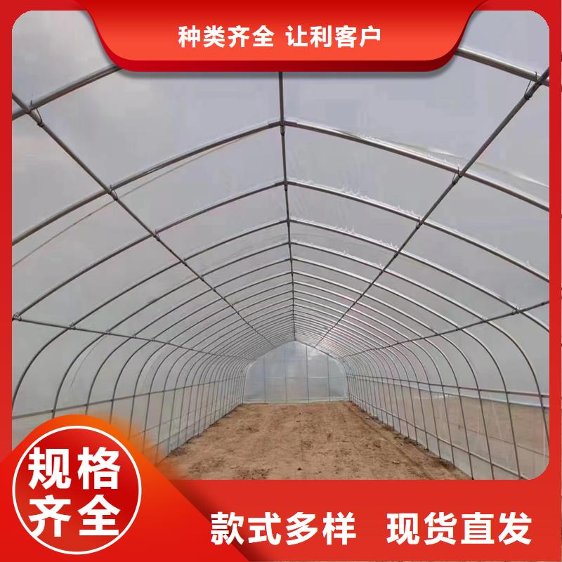 通风天窗厂家现货价格
