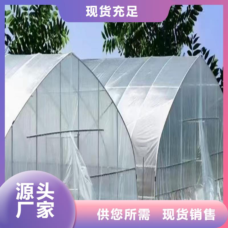 衡东县8432连栋薄膜大棚施工团队
