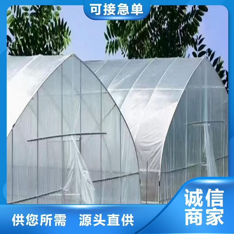 连栋大棚多少钱一平方在线报价