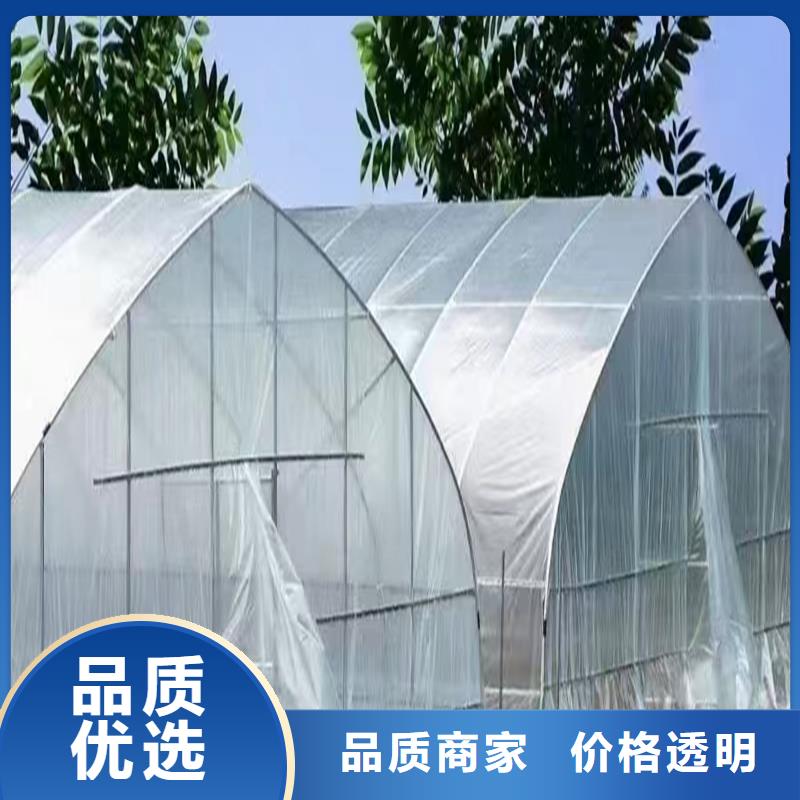 掇刀区蔬菜大棚6米8米【修饰词