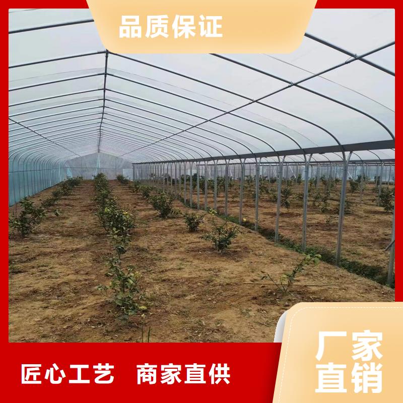 盐山县葡萄大棚的材料正规厂家