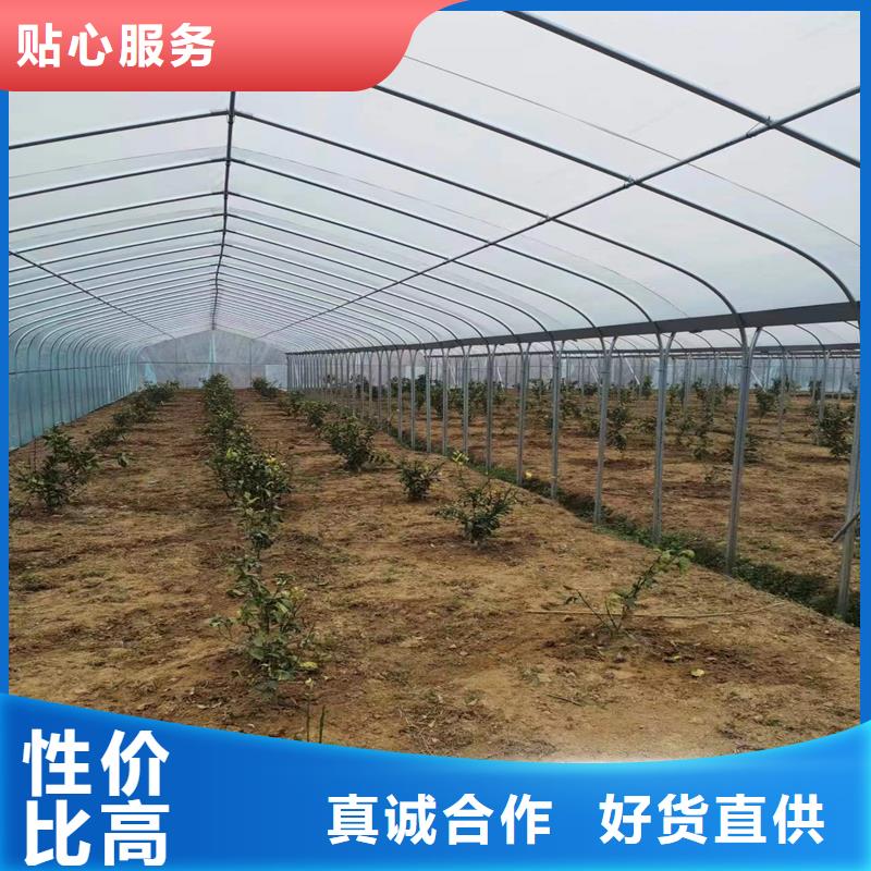 连栋大棚15丝薄膜价格厂家现货