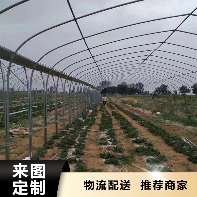 县养殖大棚管厂工厂直销