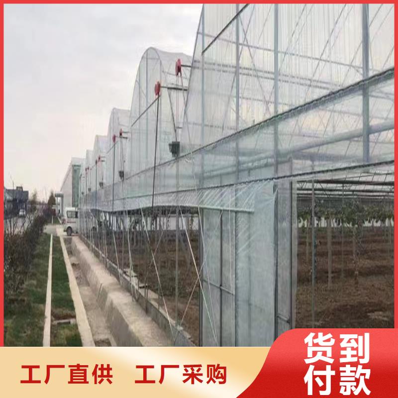 温室连栋大棚厂家【修饰词