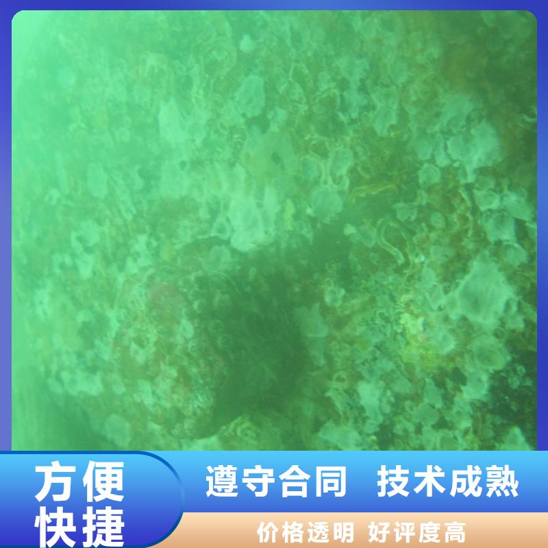 解车叶欢迎来电