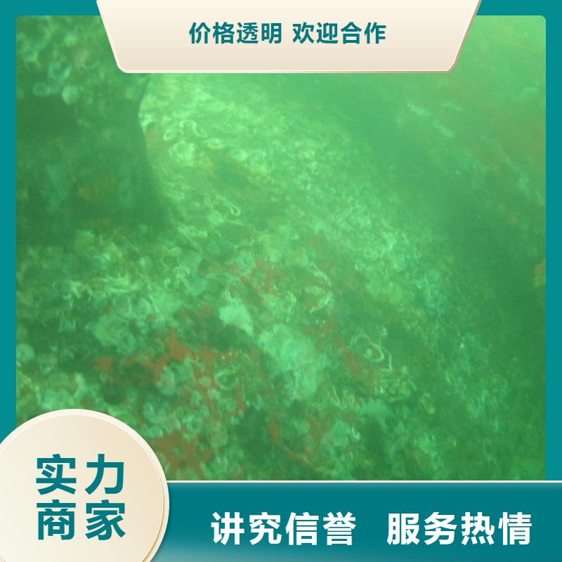 水下拍照欢迎电询