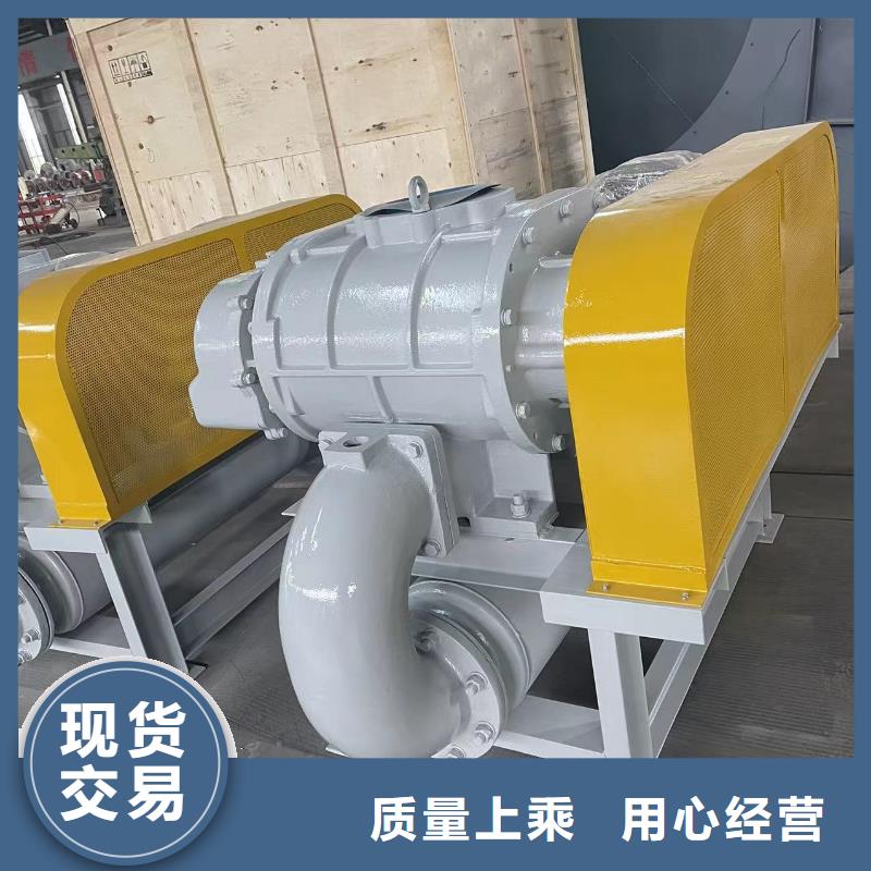 山东临风科技股份有限公司返料风机LFSR150