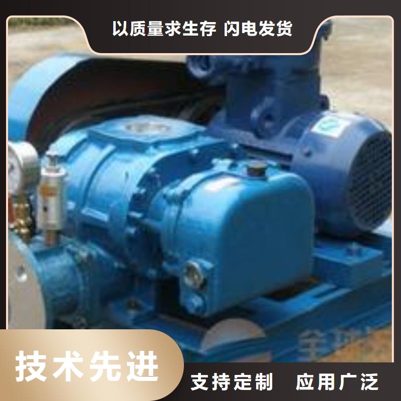 山东临风科技股份有限公司罗茨鼓风机LFSR125
