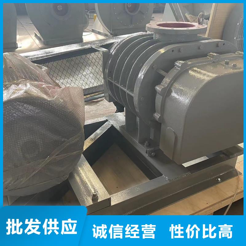 山东临风三叶罗茨鼓风机LFSR150