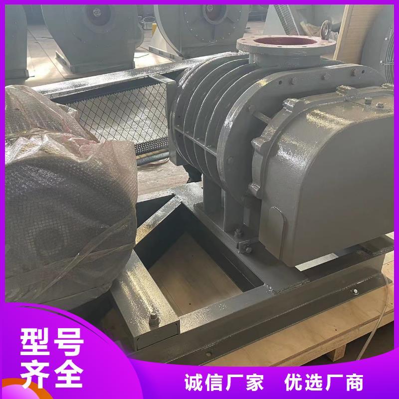 山东临风科技股份L系列罗茨风机LFSR200