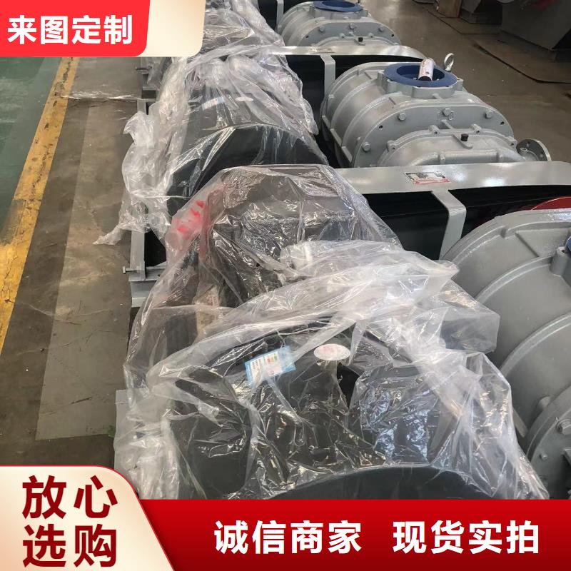 山东临风科技股份返料风机LFSR200