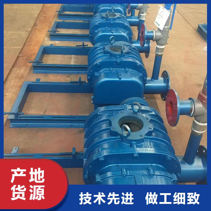 山东临风三叶罗茨鼓风机LFSR150