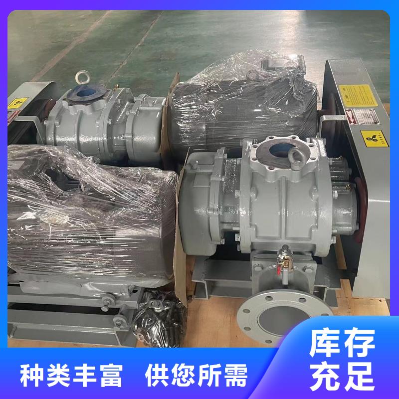 山东临风科技股份L系列罗茨风机LFSR200