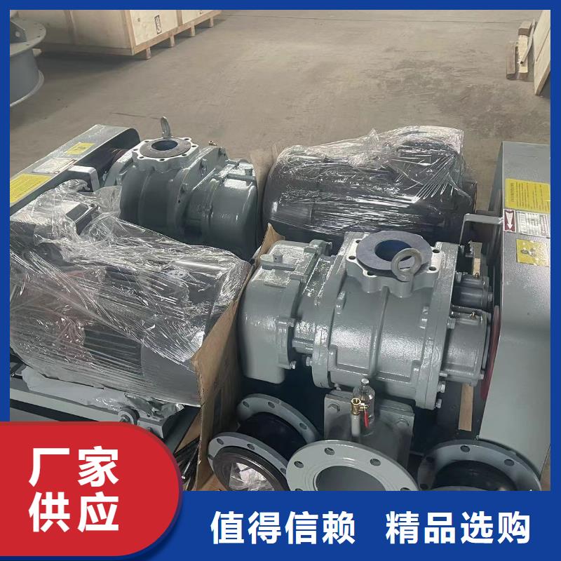 效率高罗茨鼓风机LFSR250