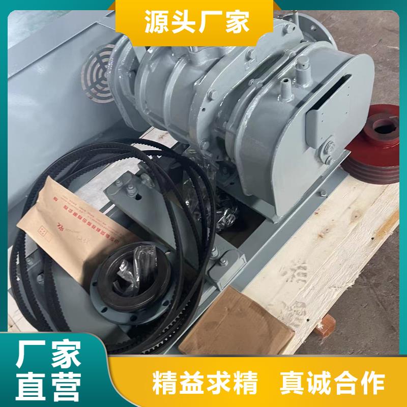 临风股份罗茨鼓风机LFSR125