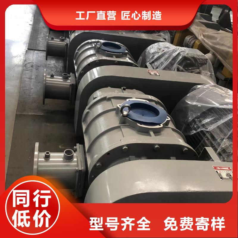 2025实时更新/公司)罗茨鼓风机LFSR100