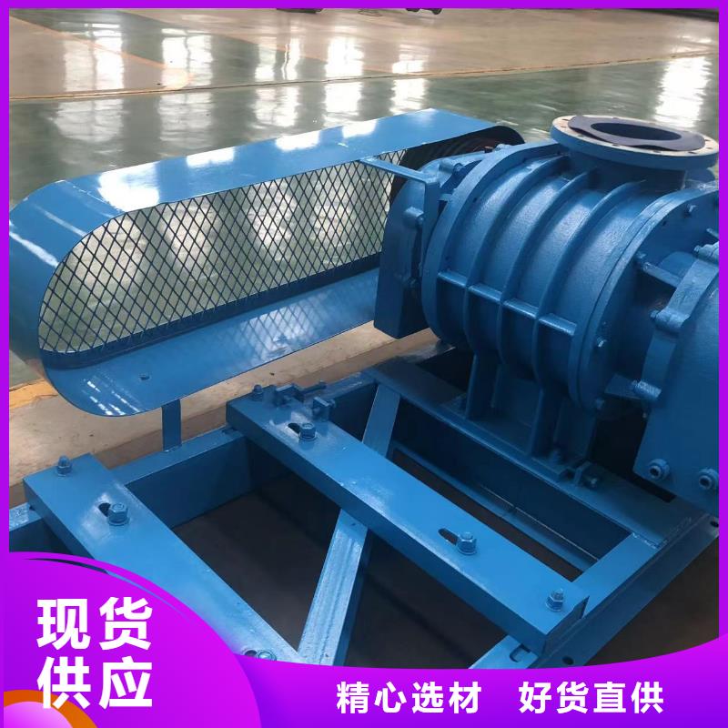 山东临风科技股份有限公司罗茨鼓风机LFSR125