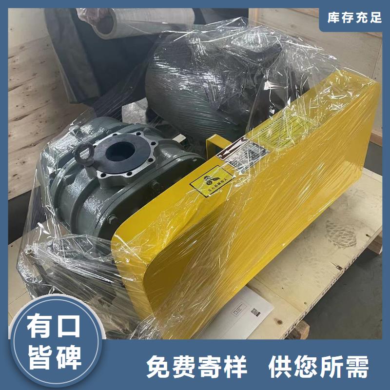 山东临风科技股份有限公司罗茨鼓风机LFSR125