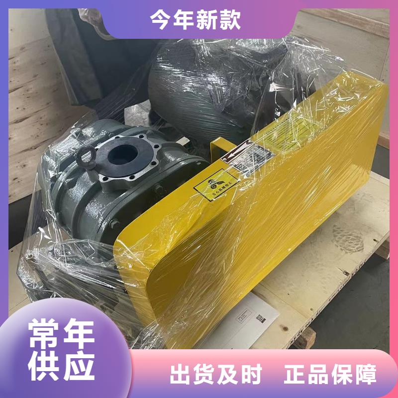 山东临风科技股份有限公司罗茨鼓风机LFSR125