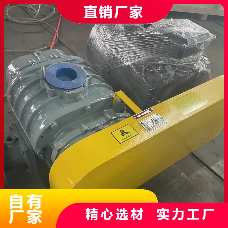 山东临风科技股份有限公司罗茨鼓风机LFSR125