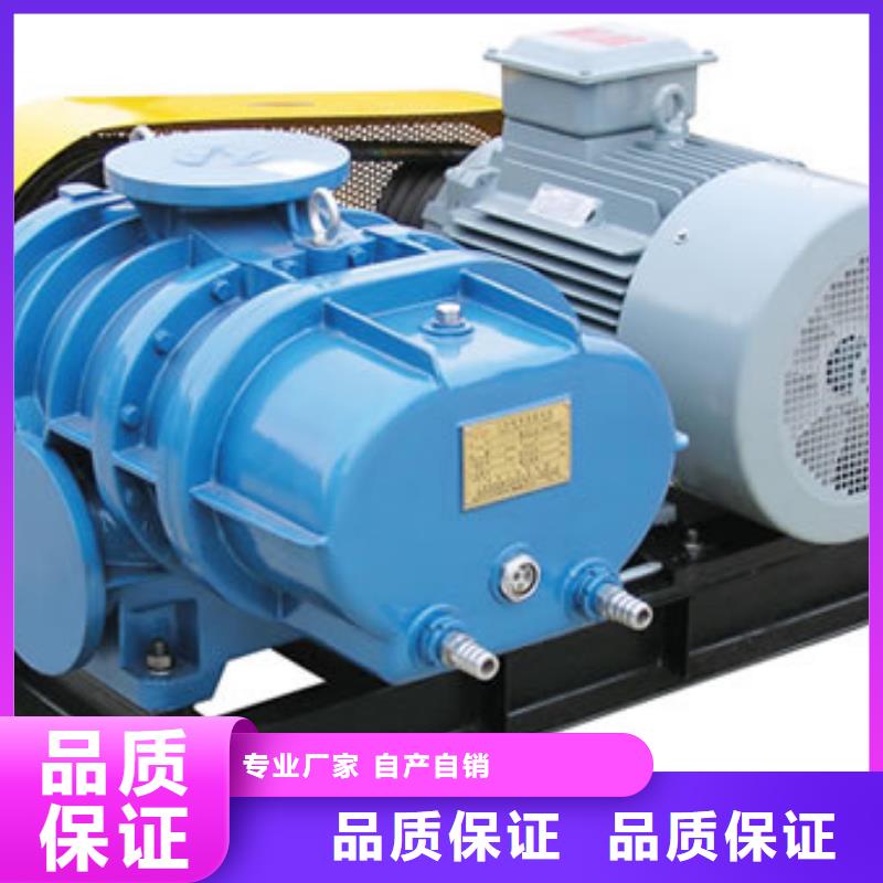 山东临风科技股份L系列罗茨风机LFSR200