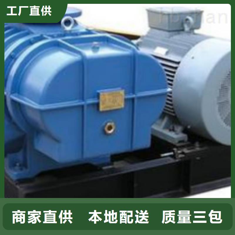 山东临风科技股份L系列罗茨风机LFSR200