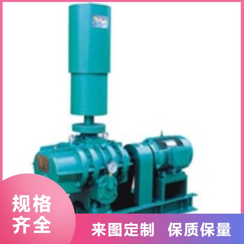 山东临风三叶罗茨鼓风机LFSR150