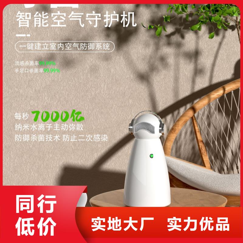 【深圳】迷你空气净化器批发多少钱有效的人际共处消杀