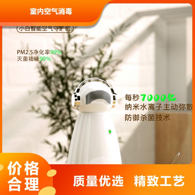 小白祛味王海量现货