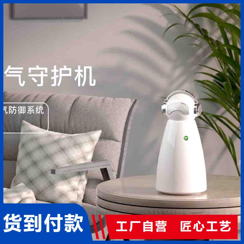 小白孕妇空气守护机_空气净化器企业实力优品