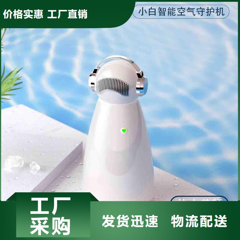 小白空气守护机_小白祛味王价格拒绝中间商