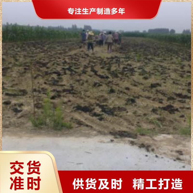 羊粪有机肥放心有机肥