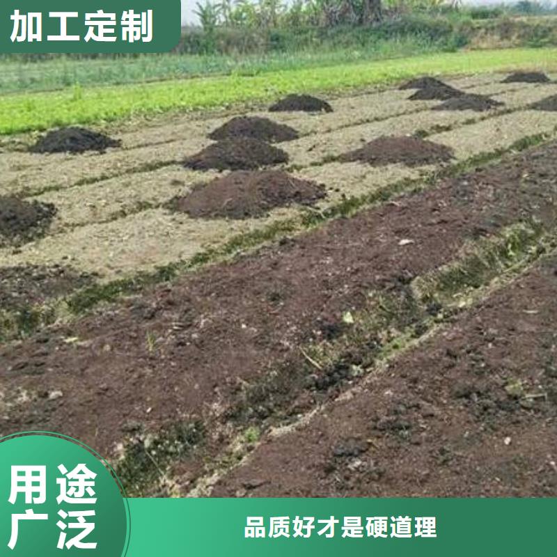 发酵鸡粪肥沃农田