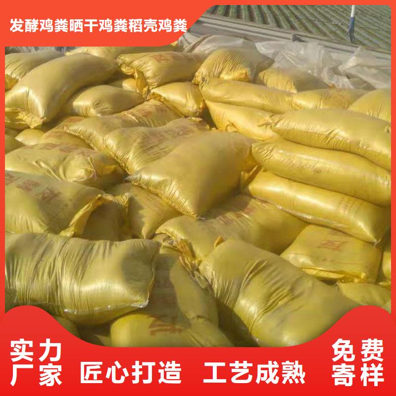 干鸡粪新闻