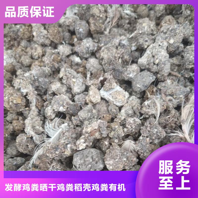 晒干鸡粪欢迎订购