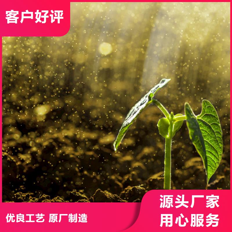 发酵鸡粪受欢迎