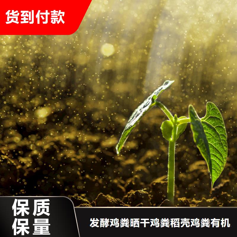 稻壳鸡粪真不赖