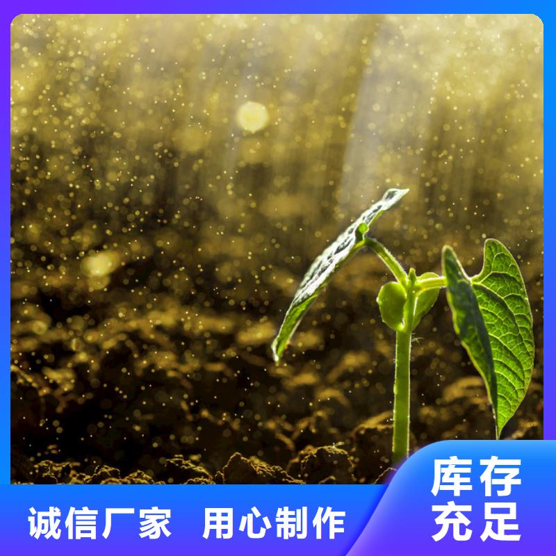 晒干鸡粪活化土壤