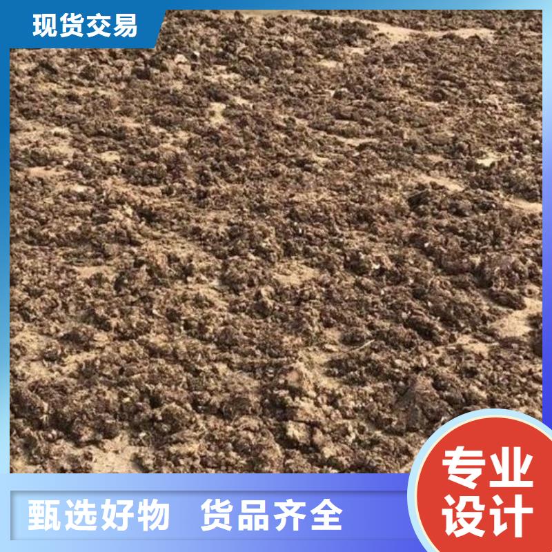 干鸡粪放心用