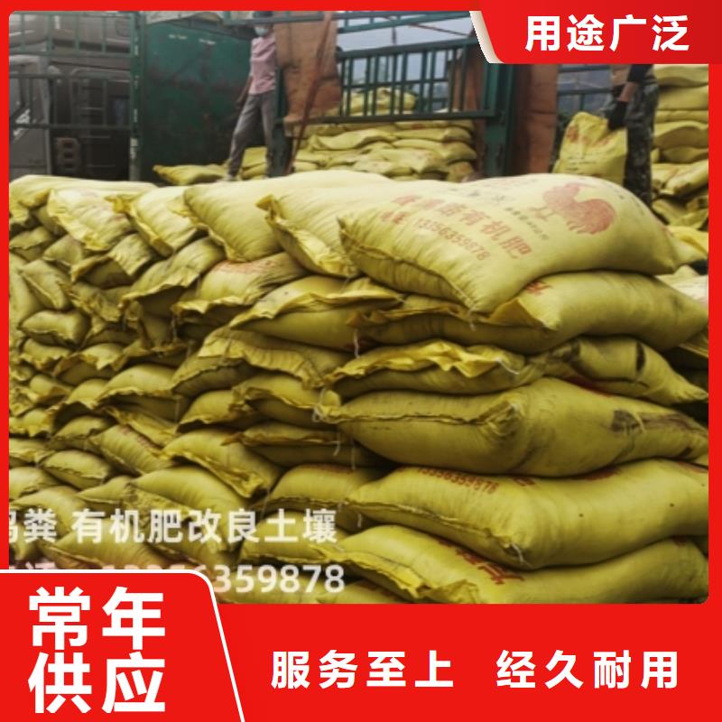 肥水鸡粪实惠