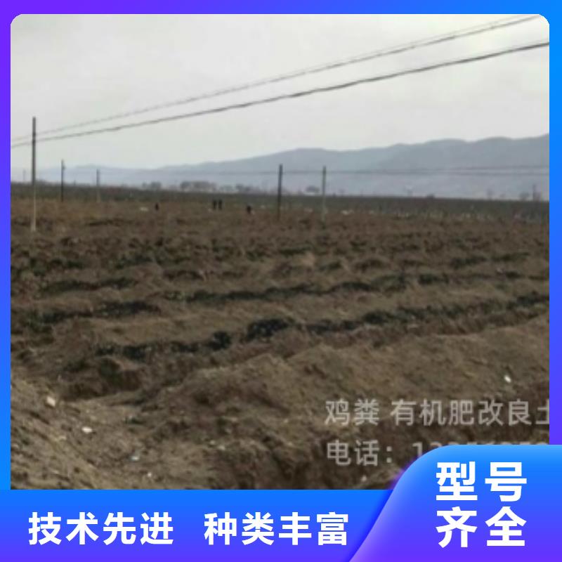 肥水鸡粪批发点