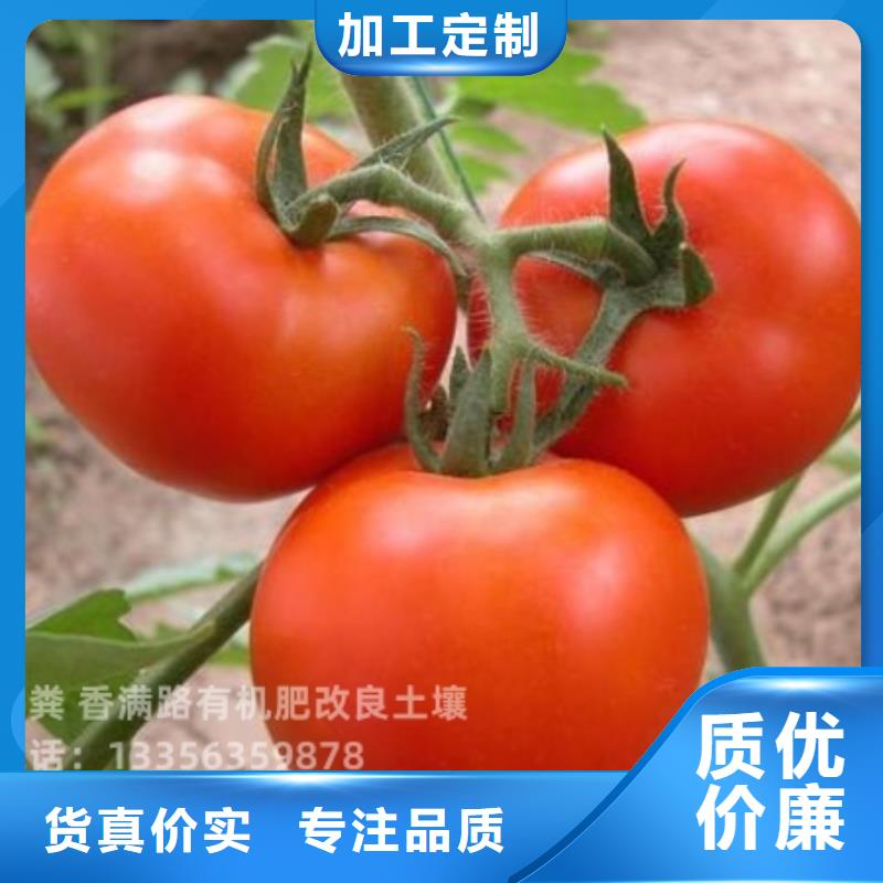 发酵羊粪价格