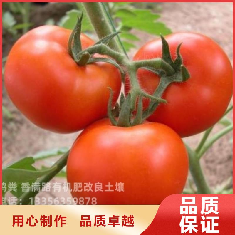 有机肥厂商