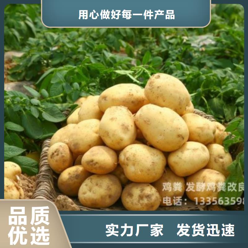 干鸡粪庄稼的好肥料