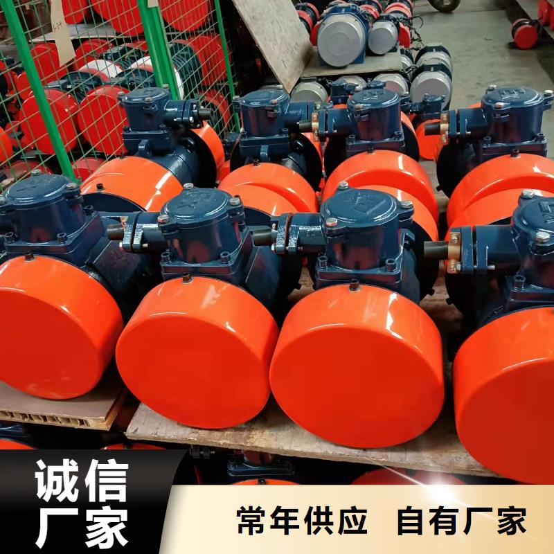 振动平台防爆振动电机厂家直销放心